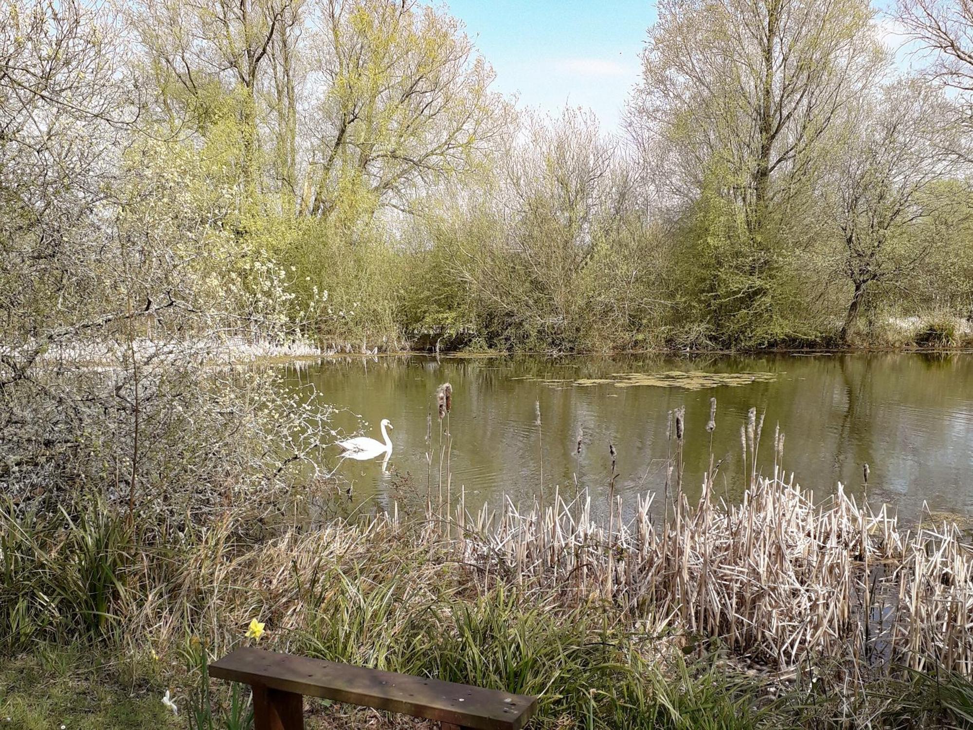 Herons Nest Bourton-on-the-Water Buitenkant foto